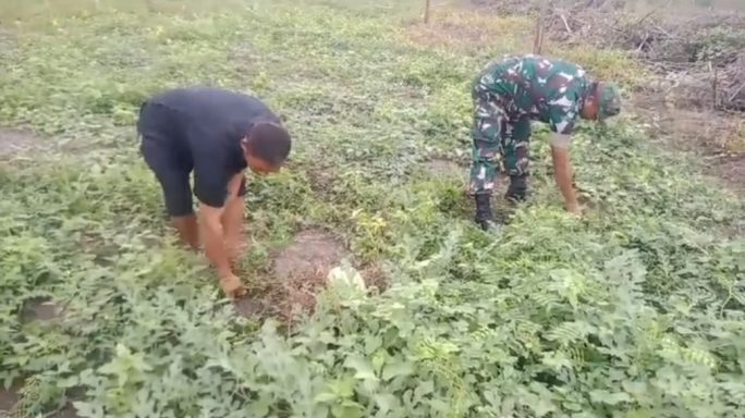 Peran Babinsa Koramil 14/Rtp Dalam Optimalisasi Kebersihan Lahan Semangka: Kunci Kesuksesan Petani