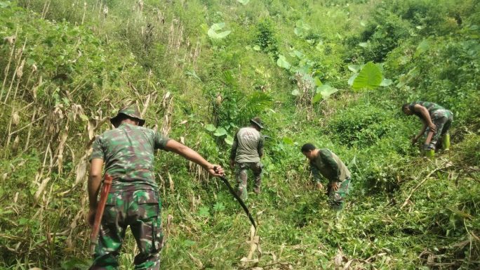 Babinsa Posramil Lawe Bulan Siapkan Lahan Demplot Tanaman Jagung