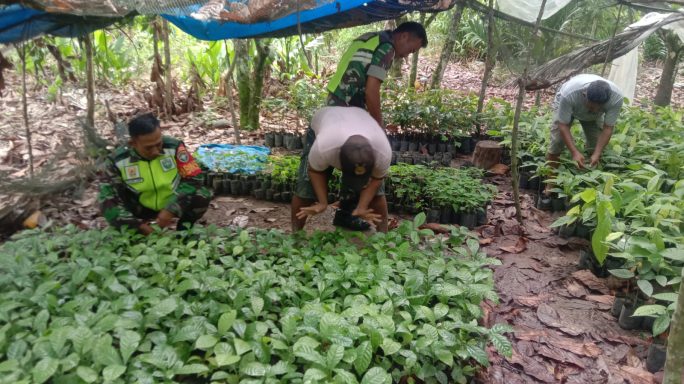 Babinsa Komsos Dengan Kelompok Tani Kakao di Desa Binaan