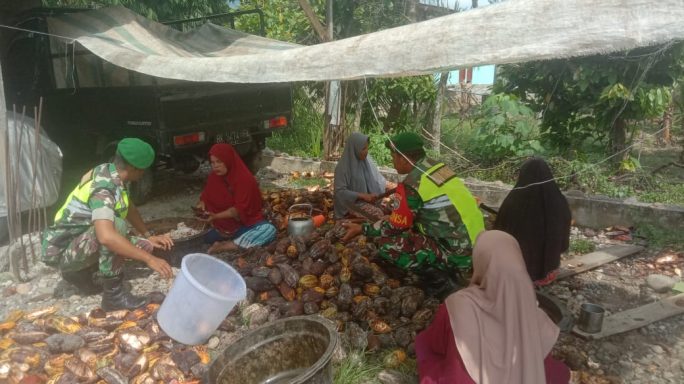 Jalin Silaturahmi Babinsa Bantu Kupas Biji Kakao Pasca Panen