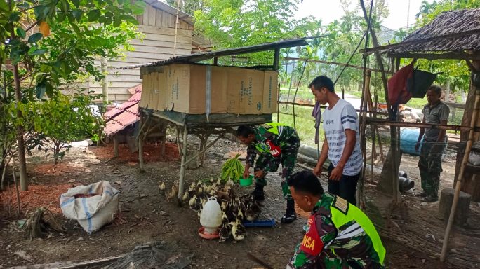 Babinsa Jalin Komsos Dengan Peternak Bebek Air