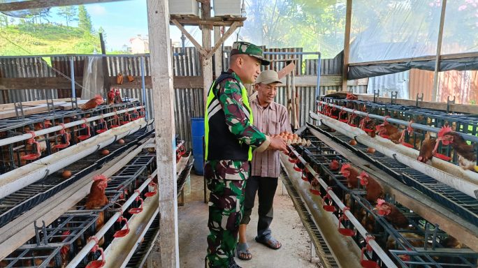 Tingkatkan Ekonomi Rakyat, Babinsa Melaksanakan Komsos dengan Peternak Ayam Petelur