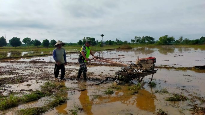 Babinsa Koramil 10/WB Bantu Petani Menyiapkan Lahan Sawah Menggunakan Hand Tracktor