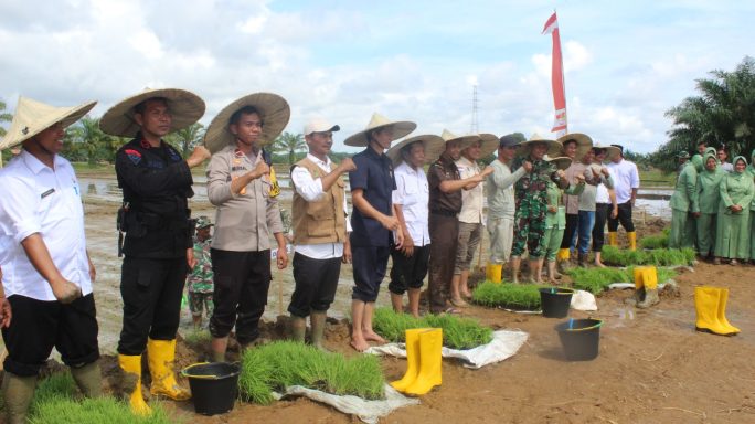 Program KP2MN, Dandim 0116/Nagan Raya Tanam Padi bersama Forkopimda
