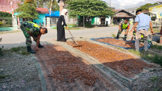 Peduli Dan Jalin Kekompakan Dengan Masyarakat Binaan Babinsa Bantu Jemur Hasil Panen Coklat
