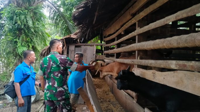 Komsos Babinsa: Mendorong Semangat Warga Untuk Berternak Kambing