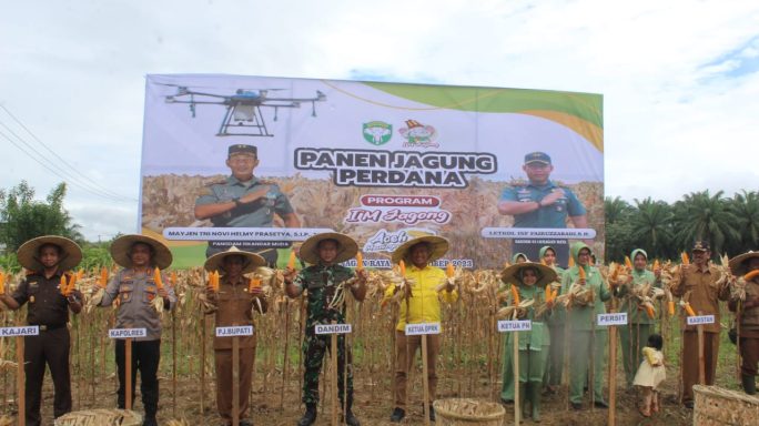 Dandim 0116/Nagan Raya dan Forkopimda Berkerjasama dengan KP2MN Sukseskan Panen Perdana Jagung Program Pangdam IM