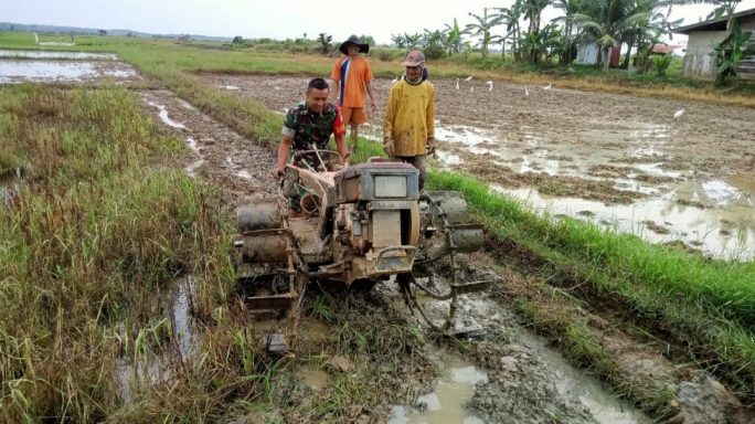 Serda Kamaluddin Babinsa Koramil 15/Plkb Mendukung Petani Dalam Kegiatan Pembajakan Sawah
