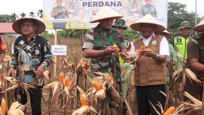 Kodim 0102Pidie Bersama Forkopimda Laksanakan Panen Jagung Perdana “I’M Jagong” Pangdam IM