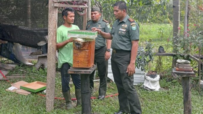 Dandim 0108/Agara Tinjau Budi Daya lebah Madu Telulut