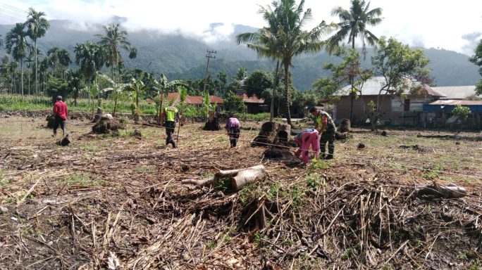 Dongkrak Swasembada Pangan Babinsa Bantu Petani Tanam Jagung