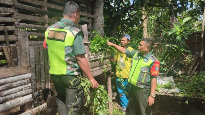 Jaga Kesehatan Ternak Babinsa Sambangi Peternak Kambing Etawa