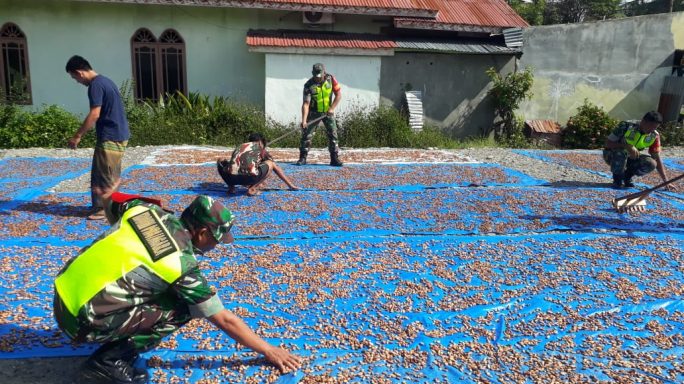 Jalin Kekompakan Dengan Warga Binaan Babinsa Bantu Jemur Coklat