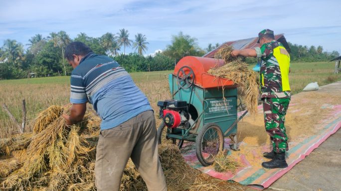Begini Cara Babinsa Koramil 04/Meureubo Dalam Mewujudkan Pemberdayaan Wilayah Bidang Pertanian   
