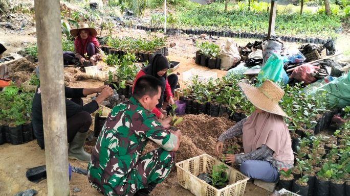 Babinsa Koramil 11/Brb Berikan Dukungan Langsung Pada Usaha Pembibitan Durian Warga Binaan   
