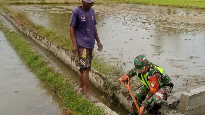Atasi Sumbat Pengairan ke sawah Babinsa Koramil 02/Seunagan Langsung bersihkan Irigasi