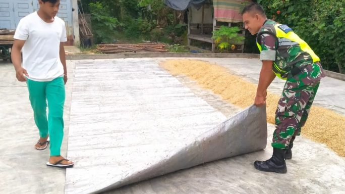 Kerja Sama Babinsa Dan Petani Dalam Proses Penjemuran Padi
