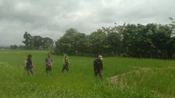 Dampingi Petani, Babinsa Koramil 04/Salang Bersama PPL Cek Pertumbuhan Padi