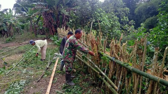 Cegah Hewan Ternak Masuk Kebun, Babinsa Koramil 04/Salang Dampingi Petani Perbaiki Pagar