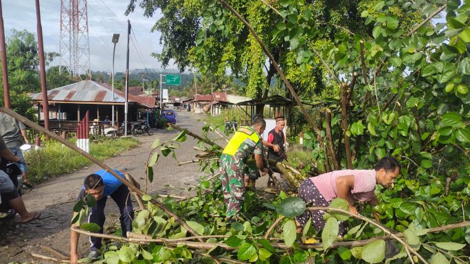 Atasi Kesulitan Warga Babinsa Bersihkan Pohon Tumbang di Jalan
