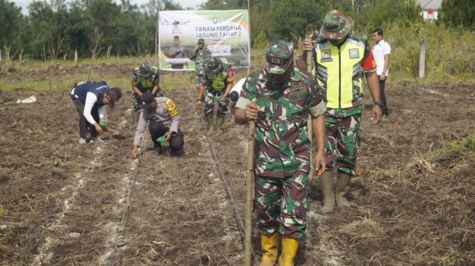 Dandim 0119/BM, Apresiasi Jajaran Koramil Melaksanakan Program I’M Jagung Tahap II