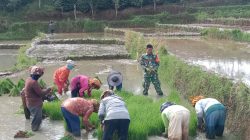 IMG-20231113-WA0084 IMG-20231113-WA0084