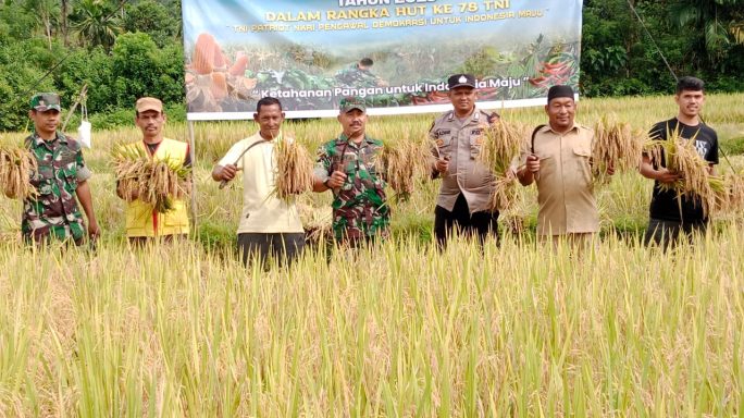 Danramil 17/Geumpang dan Muspika Gelar Panen Raya Sebagai Manifestasi Dukungan Terhadap Ketahanan Pangan