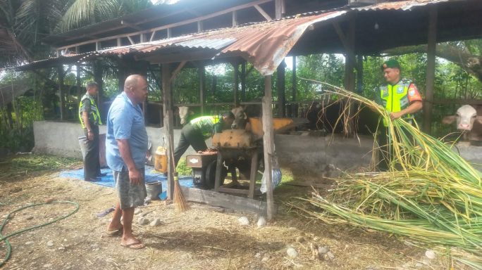 Motifasi Dan Himbau Warga Binaan Babinsa Sambangi Peternak Sapi