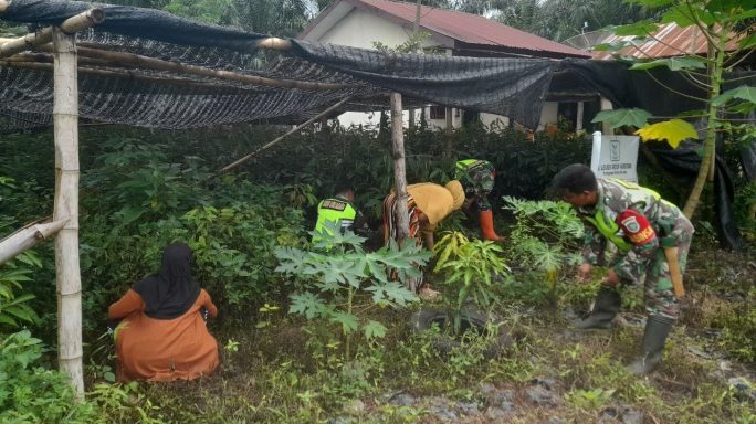 Babinsa Jalin Komsos Bersama Warga Usaha Bibit Durian