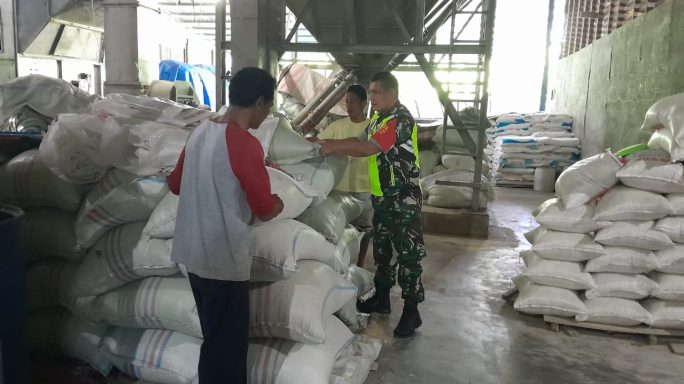 Pastikan Ketersediaan Beras Tercukupi, Babinsa Koramil 03/Kaway XVI Sambangi Kilang Padi