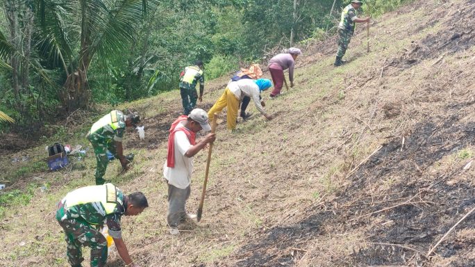 Tingkatkan Swasembada Pangan, Babinsa Bersama Warga Tanam Jagung