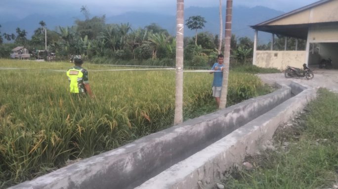 Babinsa Posramil Lawe Bulan Bantu Petani Pasang Tali Pengusir Hama Burung