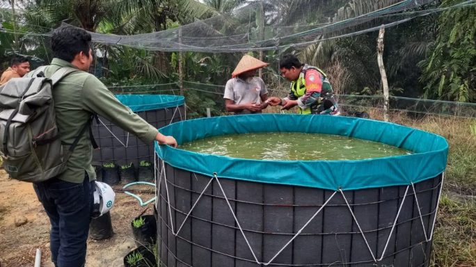 Koptu Sugianto dan Petani: Monitoring Berkala Perkembangan Budidaya Ikan Lele