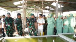 IMG-20231208-WA0061