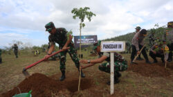 IMG-20231214-WA0131 IMG-20231214-WA0131