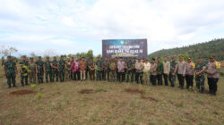 IMG-20231214-WA0141 IMG-20231214-WA0141