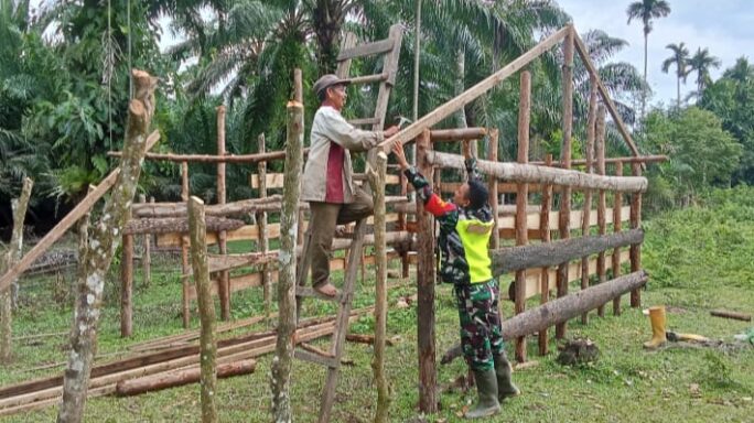 Babinsa Posramil 05/PC Bantu Proses Pembuatan Kandang Hewan Ternak Milik Warga Desa Meunuang Kinco