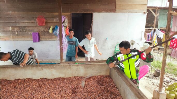 Babinsa Sambangi Warga Binaan mengolah Pengeringan Biji Coklat