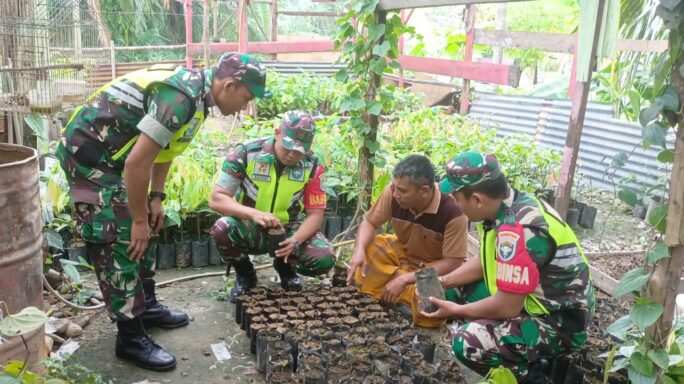 Babinsa Anjangsana Bersama Warga Pelaku Usaha Pembibitan Tanaman Cokelat Dan Durian