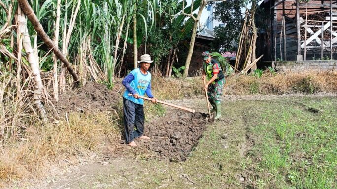Babinsa Posramil Kuta Blang Bantu Petani Buat Bedengan Sawah