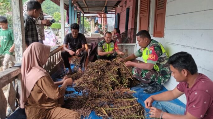 Babinsa Posramil Ketambe Jalin Komsos Kepada Warga Bersihkan Buat Jernang/Buah Rotan