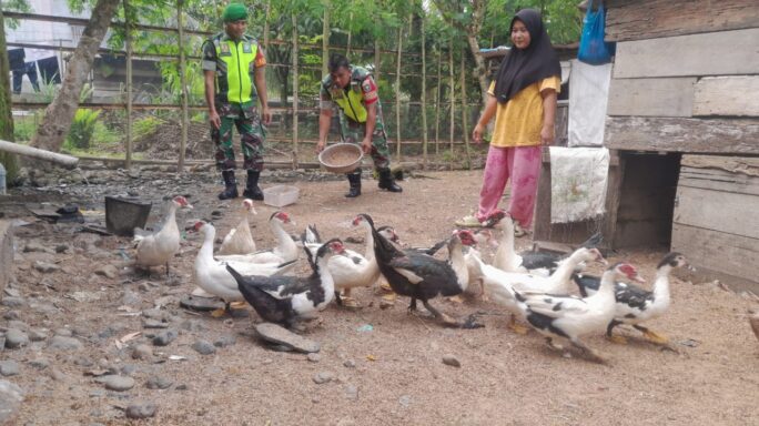 Babinsa Anjangsana Dengan Peternak Bebek Air Di Desa Binaan