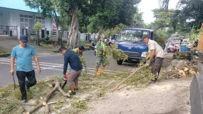 Antisipasi Pohon Tumbang, Babinsa Bersama DLHK Laksanakan Pemangkasan Pohon