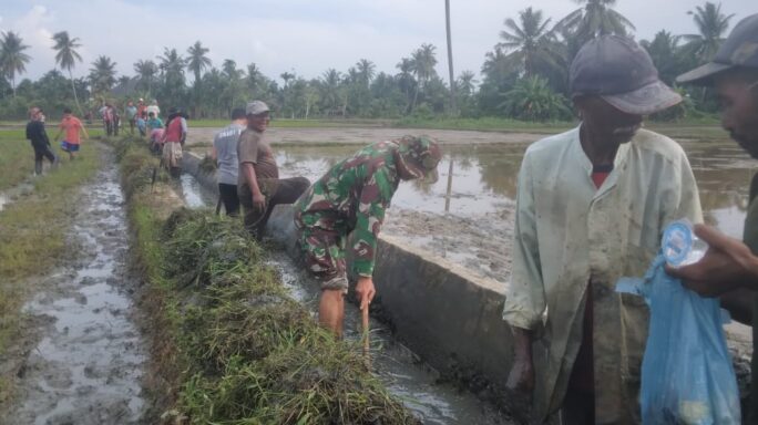 Penuhi Kebutuhan Air Petani, Babinsa Koramil 07/Mrm Bersama Warga Bersihkan Saluran Irigasi