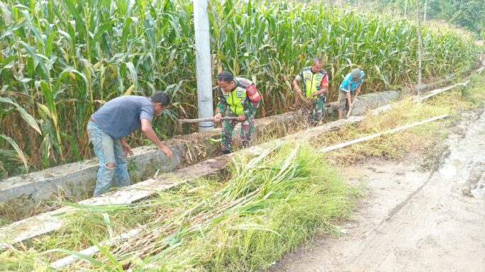 Kompak Bersama Warga Babinsa Gotong Royong Bersihkan Parit Irigasi di Kebun Jagung