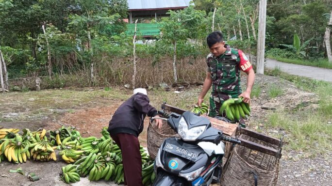 Babinsa support Ketahan Pangan Petani Pisang