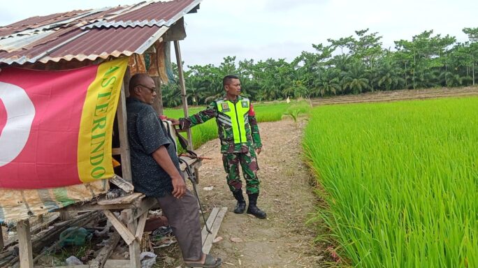 Melalui Komsos, Babinsa Berikan Motivasi Kepada Petani