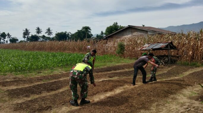 Babinsa Bantu Warga Binaan Tabur Bibit Bayam   