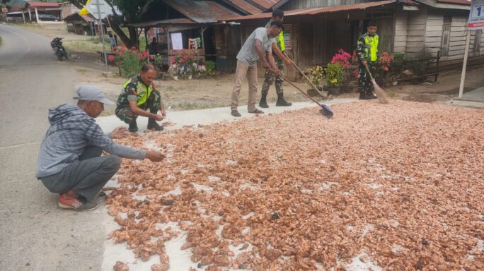 Jalin Kekompakan Dengan Warga Binaan Babinsa Bantu Jemur Coklat