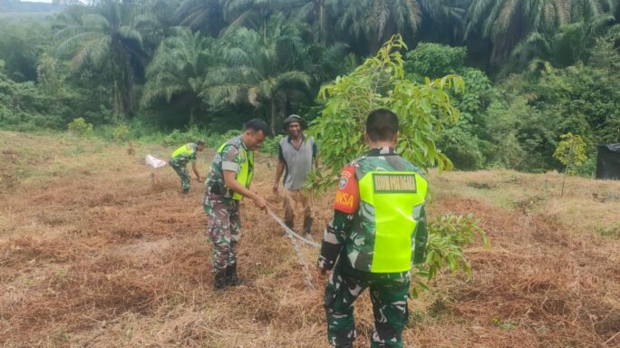 Siram Tanaman Durian Babinsa Dampingi Warga Laksanakan Penghijauan